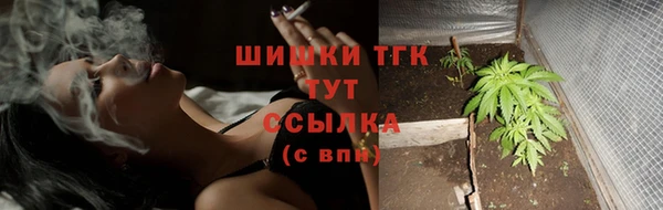 ешки Надым