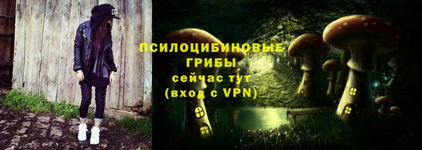 гидра Наволоки